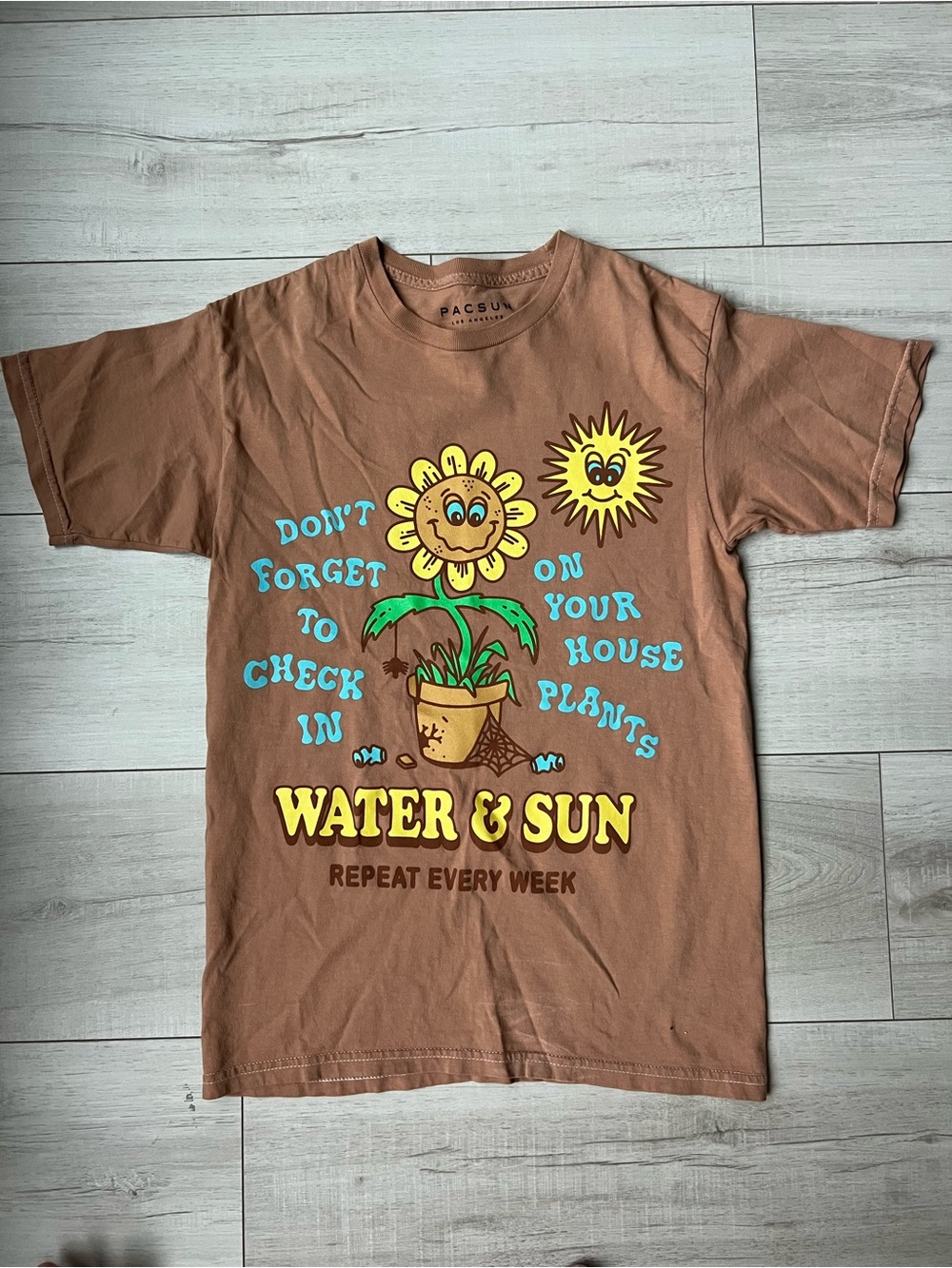 PacSun Brown Graphic Tee🤍